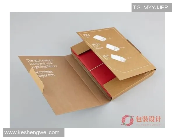 宜兴体育器材包装设计创新探索与市场趋势分析